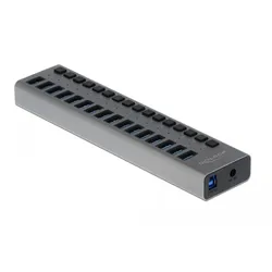 DELOCK Externer SuperSpeed USB Hub mit 16 Ports + Schalter