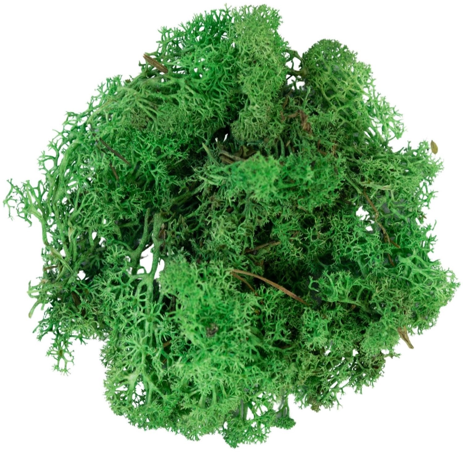 My Village Groen Rendiermos 500g