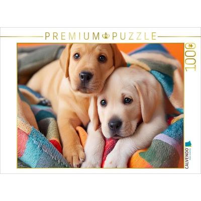 CALVENDO Puzzle Eingekuschelt in eine bunte Decke liegen zwei Labrador Retriever Welpen nebeneinander | 1000 Teile Lege-Größe 64x48cm Foto-Puzzle für,