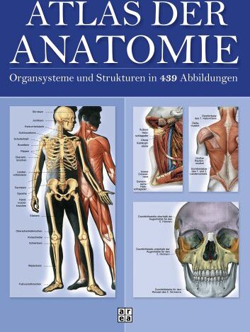 Barbara Weitz - Atlas der Anatomie. Organsystem und Strukturen in 439 Abbildungen - Preis vom 10.10.2026 11:48:34 h