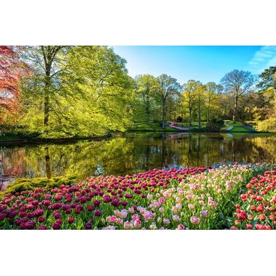 Fototapete PAPERMOON "GARTEN-BLUMEN BÄUME PFLANZEN STEINE WALD PARK BLÜTEN", bunt, B:3m L:2,23m, Vlies, Tapeten