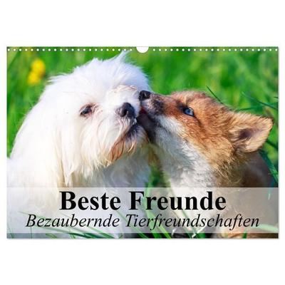 Beste Freunde - Bezaubernde Tierfreundschaften (Wandkalender 2027 DIN A3 quer), CALVENDO Monatskalender