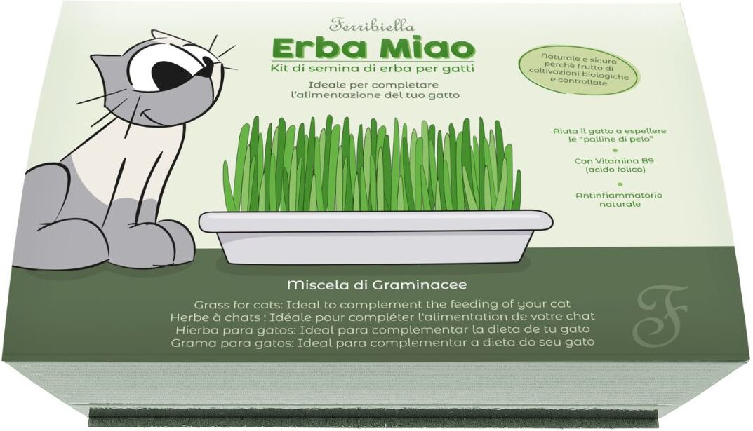 Ferribiella Erba Gatta Miao Kit di Semina di Erba per Gatti