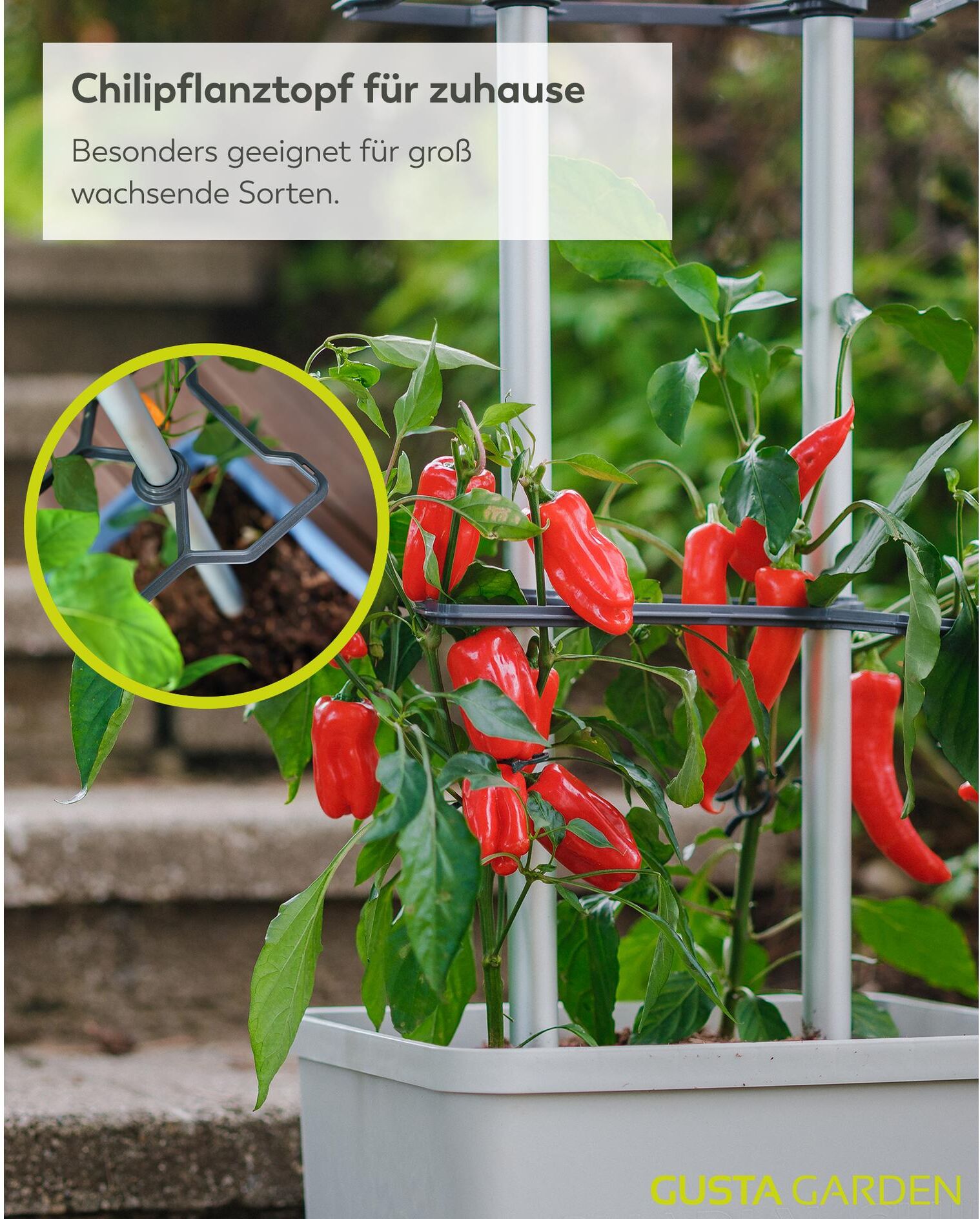 Anzuchttopf GUSTA GARDEN "Charly Chili XL", grau, Kunststoff, Pflanzgefässe, Anzuchttopf grau Einheitsgröße