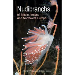 Nudibranchs of Britain, Ireland and Northwest Europe, Ratgeber von Bernard Picton, Christine Morrow