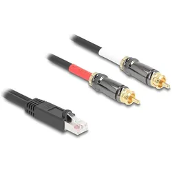Delock Adapterkabel RJ45 Stecker zu 2 x Cinch Stecker schwarz 2 m (88171) (Winkeladapter), Audio Adapter, Schwarz