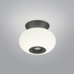 HELESTRA SAPO Deckenleuchte LED mattschwarz