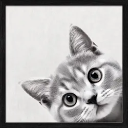 Gerahmtes Bild FUNNY CAT II (BHT 32,50x32,50x1,80 cm) - bunt - BHT 32,50x32,50x1,80 cm