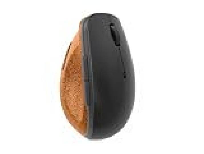 Lenovo Souris Noir Gris
