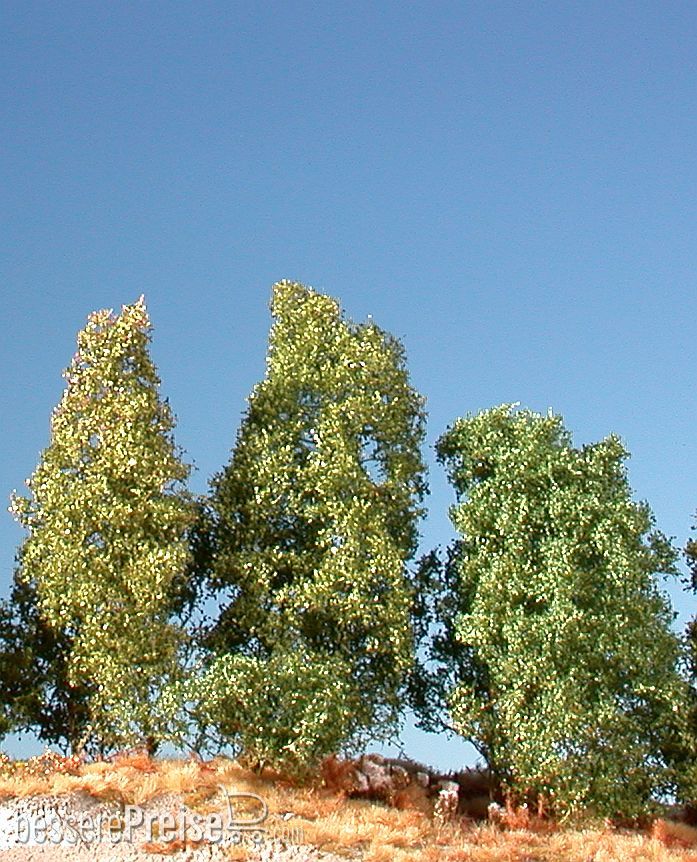 Silhouette 100-12