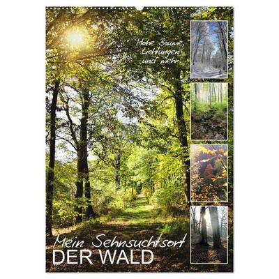Mein Sehnsuchtsort, der Wald (Wandkalender 2027 DIN A2 hoch), CALVENDO Monatskalender
