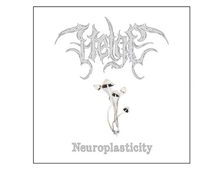 Neuroplasticity