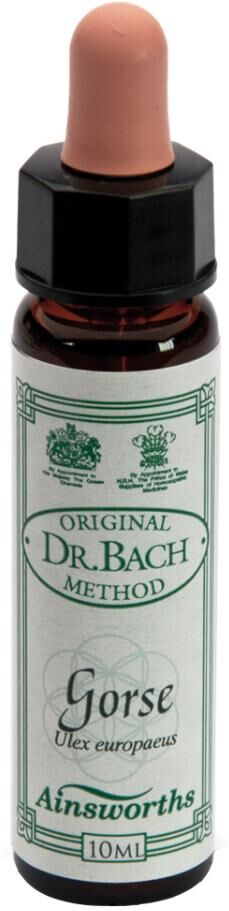 SANTIVERI Sa GORSE 10ML AINSWORTHS