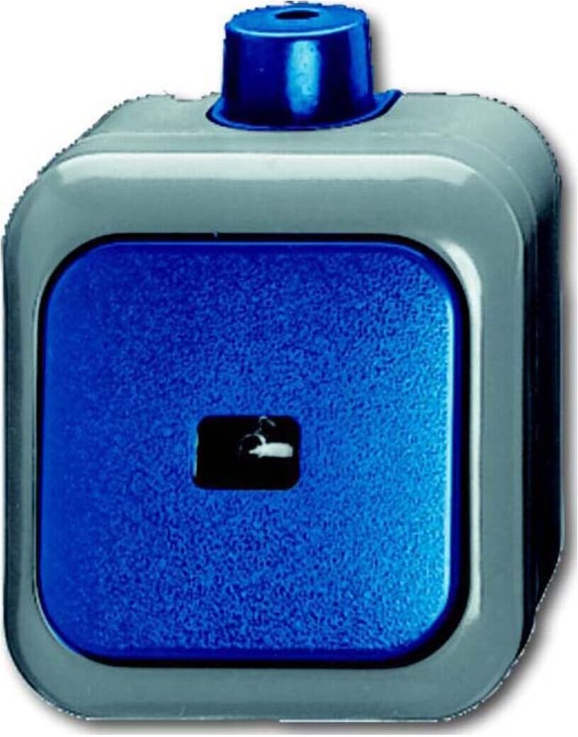 Busch-Jaeger Wipptaster Schliesser 1pol. AP 2621 WDI (2CKA001483A0171)