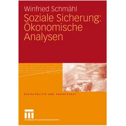 Soziale Sicherung: Ökonomische Analysen, Fachbücher von Winfried Schmähl