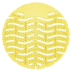 10x  Urinalgitter Ø 18 cm - unterschiedliche Duftrichtungen Citrus