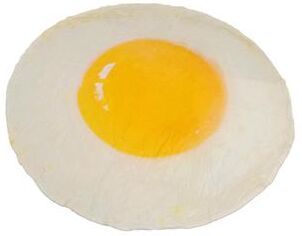 Shop Station Funny Food Blanket Round Pizza Blanket Soft Throw For Sofa, Bed, Picnic & Office Nap egg 70.9 In