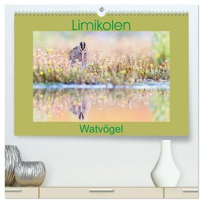 Limikolen - Watvögel aus Europa (hochwertiger Premium Wandkalender 2027 DIN A2 quer), Kunstdruck in Hochglanz