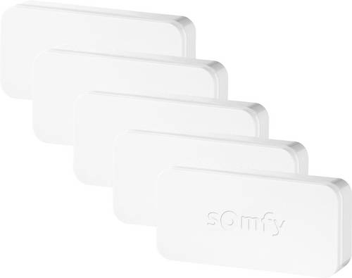 Somfy Funk-Öffnungsmelder Home Alarm IntelliTAG 2401488