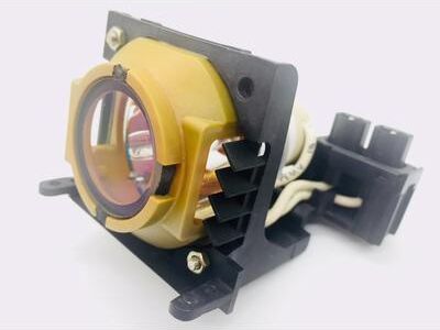AL™ Series Lamp & Housing for the Iiyama DPS 100 Projector - 90 Day Warranty