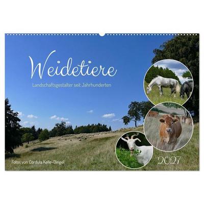 Weidetiere - Landschaftsgestalter seit Jahrhunderten (Wandkalender 2027 DIN A2 quer), CALVENDO Monatskalender