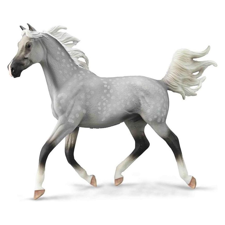 Collecta Ein halbarabischer grauschwarzer Hengst (490701)