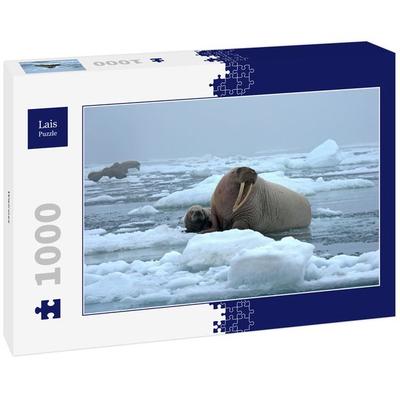 Lais Puzzle Walross 1000 Teile
