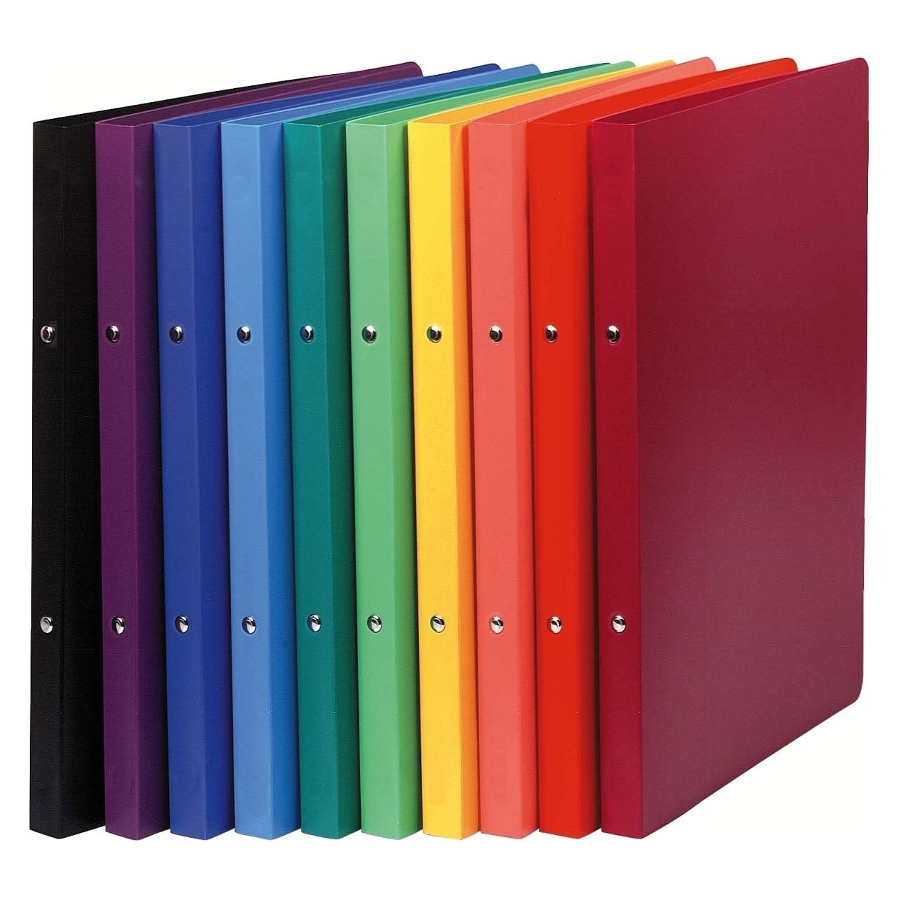 Exacompta 51199E A4 Ringbuch Multicolour (A4, 20 mm, 20 Stk.) (51199E)