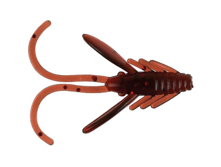 Red Eye Shrimp 2.5 cm 10 pcs