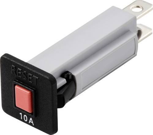 TRU COMPONENTS TC-13401612 Leistungsschalter thermisch 125 V/AC, 250 V/AC, 32 V/DC, 50 V/DC 10A 1St.