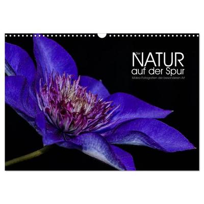 Der Natur auf der Spur - Makro-Fotografien der besonderen Art (Wandkalender 2026 DIN A3 quer), CALVENDO Monatskalender