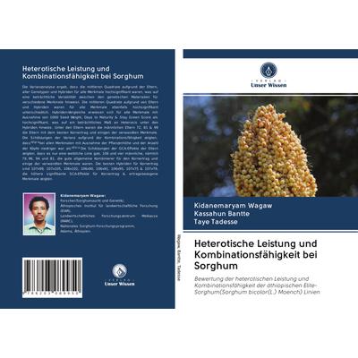 Heterotische Leistung und Kombinationsfähigkeit bei Sorghum, Taschenbuch von Kidanemaryam Wagaw,Kassahun Bantte,Taye Tadesse, BoD - Books on Demand,