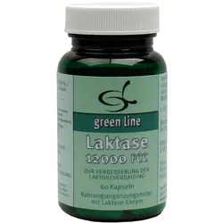 Laktase 12.000 FCC Kapseln 60 St
