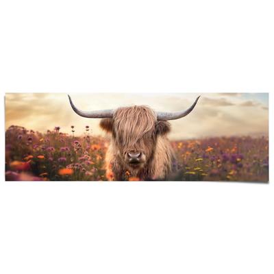 Poster REINDERS "Spring Highlander", braun (farbe bild(er): braun), B:158cm H:53cm T:0,1cm, Bilder, Poster, Wohnzimmer - Schottischer Hochländer - Flora - 170 gr. Papier