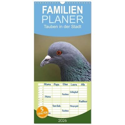 Familienplaner 2026 - Tauben in der Stadt mit 5 Spalten (Wandkalender, 21 x 45 cm) CALVENDO