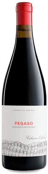 Telmo Rodríguez Pegaso Barrancos de Pizarra 2022 - 75cl