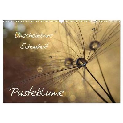 Unscheinbare Schönheit - Pusteblume (Wandkalender 2027 DIN A3 quer), CALVENDO Monatskalender
