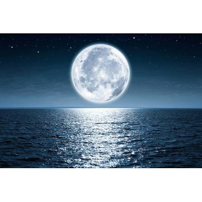 Fototapete PAPERMOON "Vollmond", bunt, B:3m L:2,23m, Vlies, Tapeten