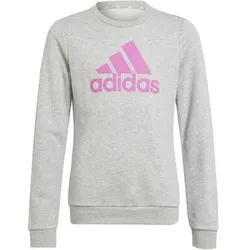 ADIDAS Kinder Sweatshirt Essentials Big Logo Cotton, Größe 152 in Silber Silber