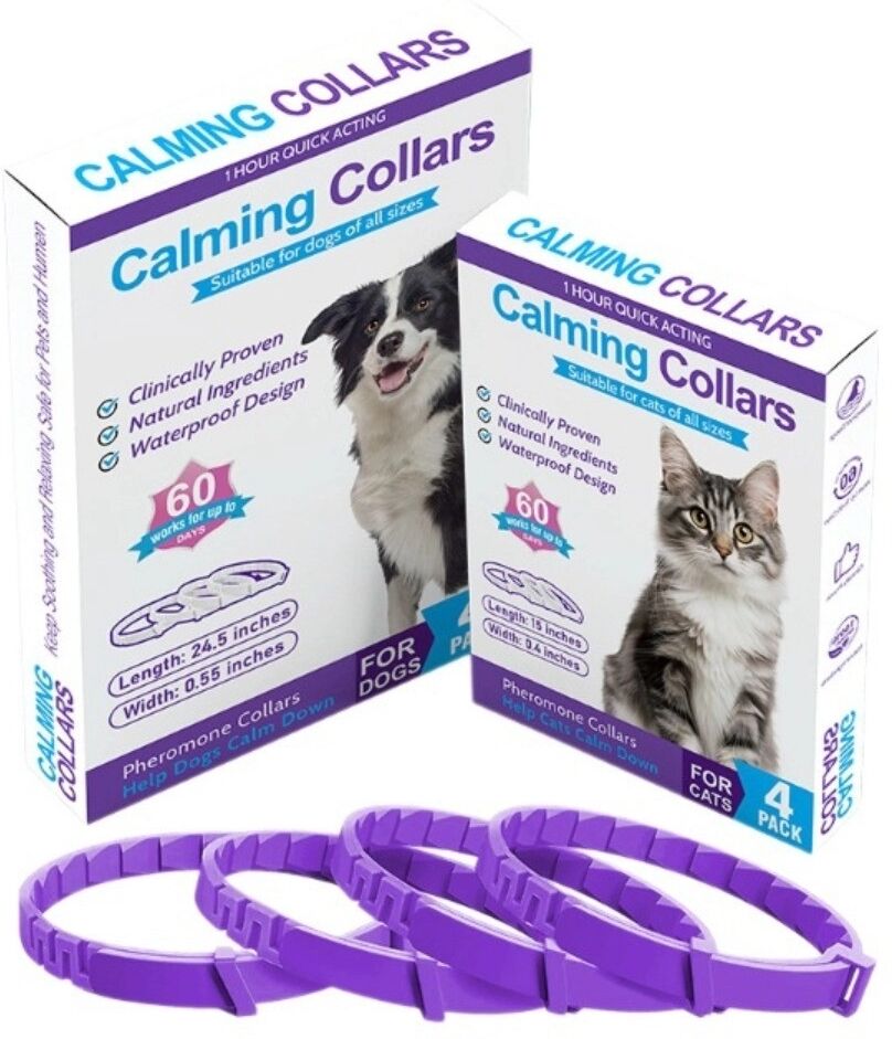 INF Beruhigungshalsband für Katzen 38 cm, 4er-Pack aus Kunststoff gegen Angst und Unruhe