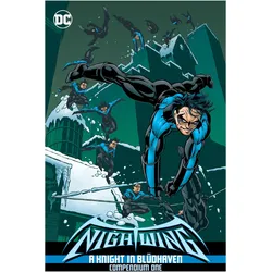 Nightwing 1, Comics + Manga von Dennis O'Neil, Chuck Dixon, Greg Land, Scott McDaniel