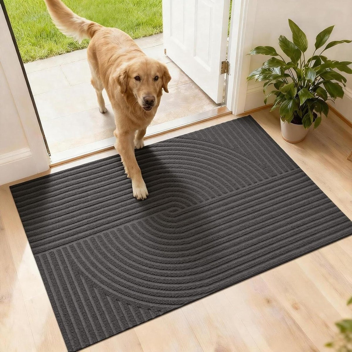 Grijs Vuilvangmat Voetmat voor een schoon huis - 60 x 90 cm