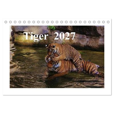 Tiger 2027 (Tischkalender 2027 DIN A5 quer), CALVENDO Monatskalender
