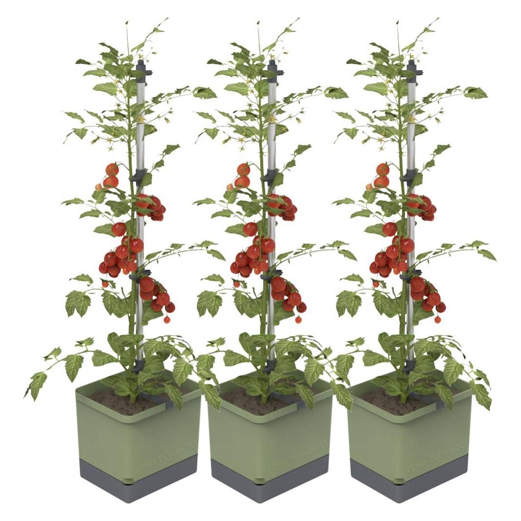 Gusta Garden TOM TOMATO 3er-Set dunkelgrün / W07074 Pflanzgefäss (TOM TOMATO 3er-Set dunkelgrün / W07074)