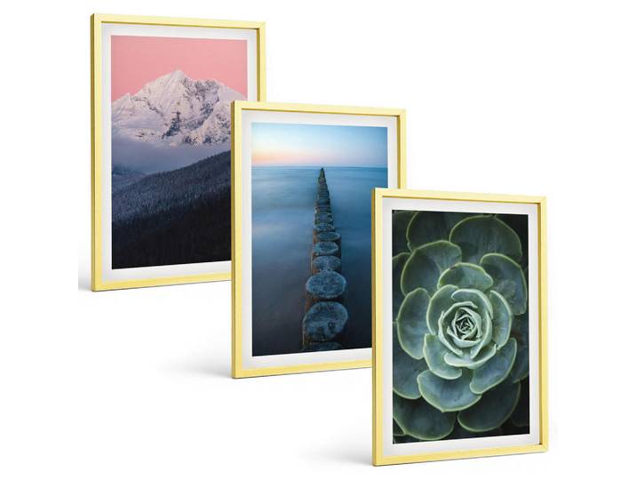 Tulup Bilder SET 3er Set - 40x60 cm Goldrahmen - Berge, rosa Himmel, Wasser, Sukkulente, Goldfarben, Kunststoff, Rechteckig, 40x60 cm, Fotografie, Bilder & Rahmen, Bilder