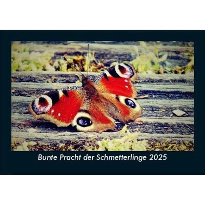 Bunte Pracht der Schmetterlinge 2025 Fotokalender DIN A5