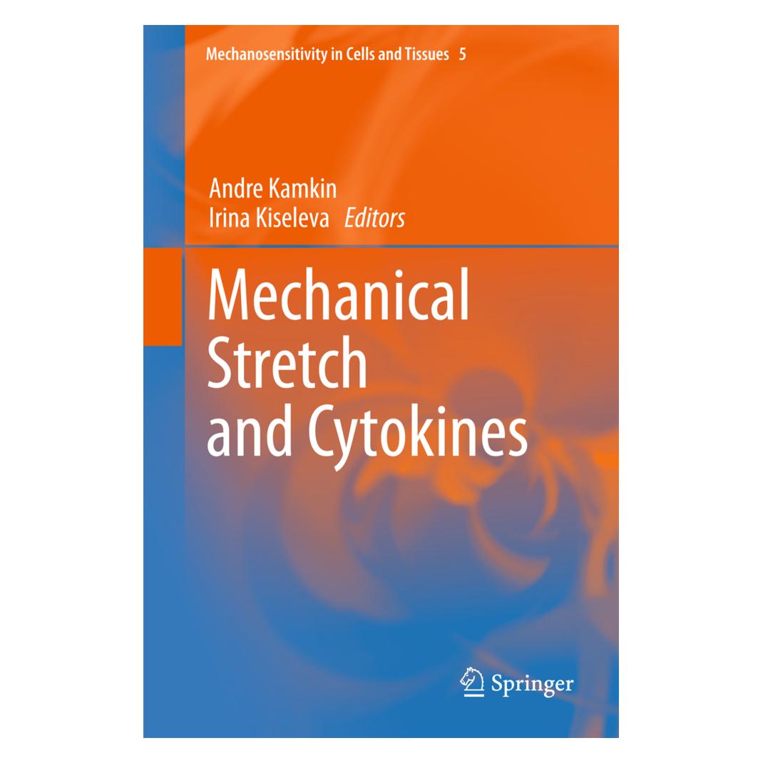Springer Mechanical Stretch and Cytokines (Englisch, Softcover, Andre Kamkin, Irina Kiseleva) (55548977)