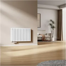 Emke Heizkörper, Flachheizkörper mit Zentralanschluss, Weiss 63x100cm 1343W Doppellagig, Heizkörper, Weiss