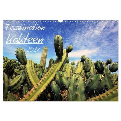 Faszination Kakteen (Wandkalender 2027 DIN A3 quer), CALVENDO Monatskalender