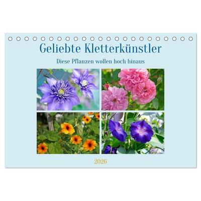 Geliebte Kletterkünstler (Tischkalender 2026 DIN A5 quer), CALVENDO Monatskalender